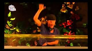 Avicii @ Tomorrowland 2013 #MHM