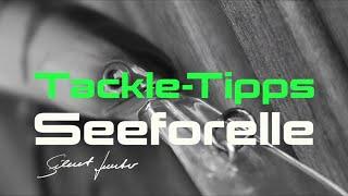 Tackle-Tipps Seeforelle - Silent Hunter