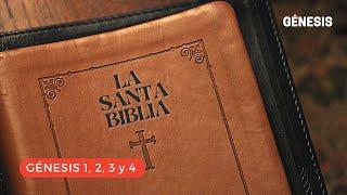 GÉNESIS 1,2,3,4 (DÍA 1) LA SANTA BIBLIA || Biblia hablada ||