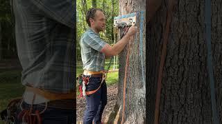 Cleaning a top rope anchor with quick draws #rockclimbing #climbing #multipitch