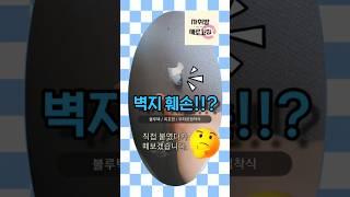 벽손상 제가 테스트 해볼게요! #벽손상 #원상복구 #벽지 #꼭꼬핀 #블루텍 #무타공접착 #월세인테리어 #전세인테리어 #벽지손상테스트 #벽지훼손 #방꾸미기 #자취방새로고침