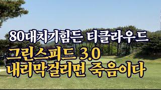 리치박의 팬인 골프프로지망생 찰리주니어와 그린스피드 3.0의 티클라우드 CC에 왔습니다. 벤틀리와 파나메라를 건 진검승부 / 티클라우드, 라운딩, 필드