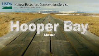 Protecting habitat and subsistence in Hooper Bay, Alaska