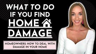 WHAT TO DO IF YOU FIND HOME DAMAGE / Homeowners: How to deal with damage in your home