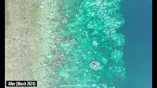 Before and After: Great Barrier Reef Coral Bleaching