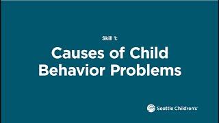 Skill 1: Causes of Child Behavior Problems