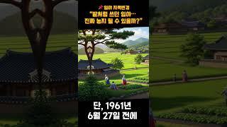 밭처럼 쓰던 임야… 지목 바꿀 수 있을까?