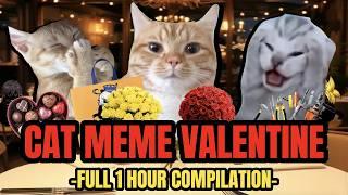 Cat MEMES: CAT MEME VALENTINE - FULL 1 HOUR COMPILATION