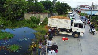 Perfectly Job!!Dump Truck 5Ton Filling Land,Bulldozer Komatsu D31P Push Soil Next the Road,Mix VDO