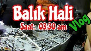 Balık Hali Vlog - İşte Haldeki fiyatlar