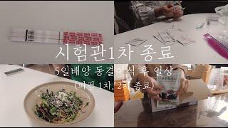 vlog I 시험관브이로그 I 시험관1차 I 1차피검 I 2차피검 I 낮은피검수치 I 임테기변화