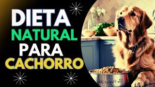 DIETA Natural para CÃES com Insuficiência RENAL