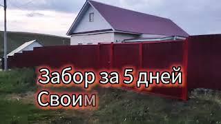 ЗАБОР ИЗ ПРОФНАСТИЛА ЗА 5 ДНЕЙ своими руками (с калиткой и воротами)