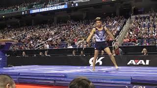 Yul Moldauer (USA) - Vault - 2019 American Cup