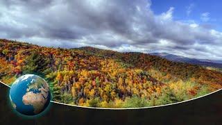 Great Smoky Mountains - Staggering Biodiversity in America's most visited National Park