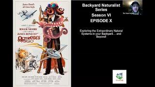 Octopodes - Backyard Naturalist Lecture Series