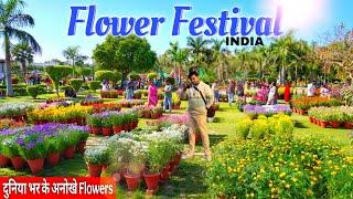 MOST Beautiful Day Of My Life - Flower Show at Connaught Place Delhi | Central Park Delhi | CP Park