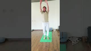 Sun Salutation A - Ashtanga Vinyasa | Yoga School in Rishikesh India #sunsalutation #suryanamaskara