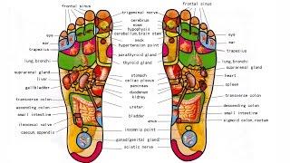 What is Foot Reflexology - Foot Massage And Benefits - How to do Foot Reflexology Step By Step