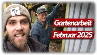 Gardening February | Pruning grape vines, figs and peaches, nesting boxes, small raised bed harvest