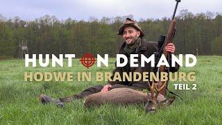 Jagdwochenende in Brandenburg – Hunt on Demand Weekend Teil 2 - so geht es weiter!