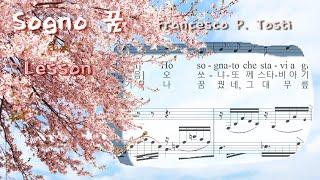 Sogno 꿈 *완벽Lesson.3회반복 (원어가사/한글발음/한글가사) ▶ 꿈 Dream