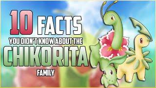 10 FACTS You DIDN'T KNOW About The CHIKORITA Family!