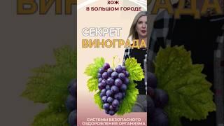 Ресвератрол: Секрет винограда #здоровье #антиоксиданты #витамины