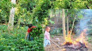 boy picking vegetables to sell woman burning vegetable garden