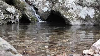 Son de l'eau qui coule, ruisseau (10H00)