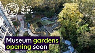Museum gardens opening soon