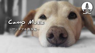 【キャンプBGM】愛犬が鼻を舐めると次の日は快晴。洋楽メドレーplaylist