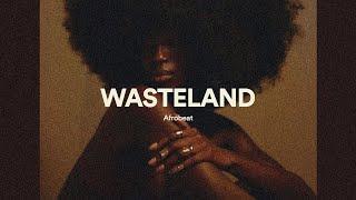 Afrobeat Instrumental 2025 Wizkid x Tems Type Beat - Wasteland