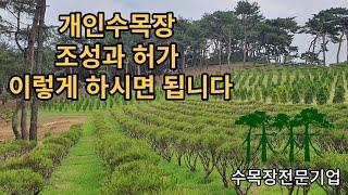 개인수목장 조성과 허가 이렇게 하시면 됩니다/personal natural burial site