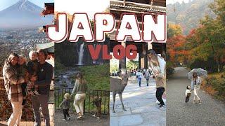 JAPAN VLOG | Mt. Fuji, Kyoto, Nara & Tokyo Disney with toddlers |