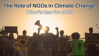 The Role of NGOs in Climate Change: What’s New for 2025