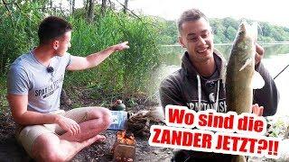 Du findest keine ZANDER JETZT IM SOMMER? | Die beste Stelle beim Zander Angeln!