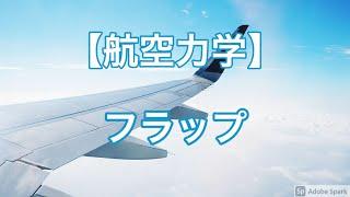 【航空力学】高揚力装置①（フラップ）