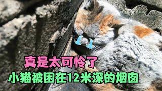 救助被困在12米深的煙囪的小貓