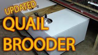 SELF CLEANING QUAIL BROODER - Makes it easier to maintain your coturnix quail chicks