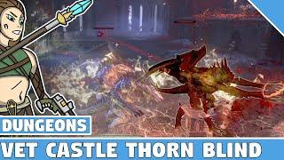 Veteran Castle Thorn Dungeon BLIND - Uncut - ESO Dungeons! Stonethorn DLC