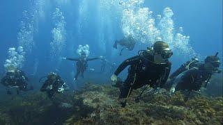 Rottnest Island Dive 1 Francis Cape 18m Dive 2 Roe Reef