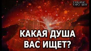 КАКАЯ ДУША ВАС ИЩЕТ ГАДАНИЕ ОНЛАЙН  РАСКЛАД ТАРО