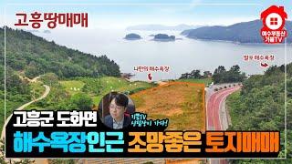 고흥땅, 발포해수욕장 인근 바다조망 좋은 토지!  앞에 작은 해수욕장도 있어 펜션,오토캠핑장,전원주택단지로 추천합니다! 최근가격수정! 분할토지매매가능