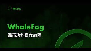 WhaleFog隐私混币功能操作教程