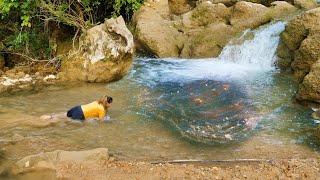 The clams under the waterfall are too fat, and the pearls inside are extremely rich