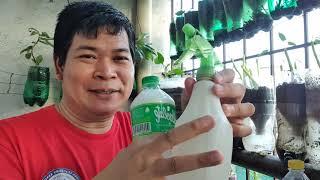 PAGGAWA NG NATURAL PESTICIDE (with ENG sub)