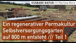 Ein regenerativer Permakultur Selbstversorgergarten auf 800 m entsteht / Teil 1 Start & Gartenanlage