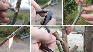 grafting trees / see five types of grafting fruit trees in this video / השתלת עצים / Bäume veredeln