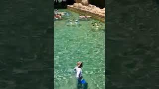 #viral #duabi #enjoy #new #subscribe water park Dubai UAE